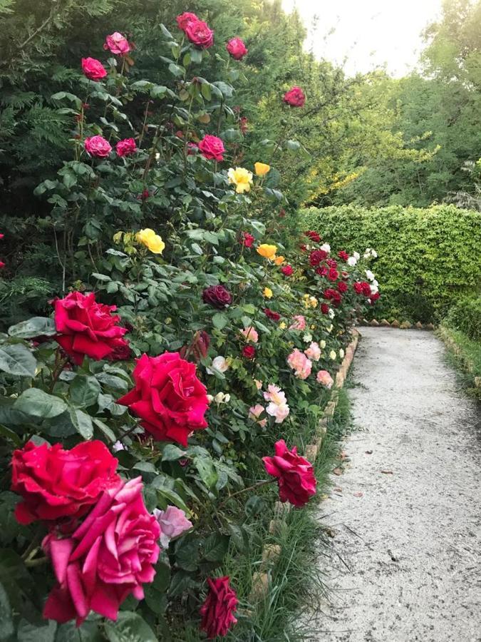 B&B La Casa Di G.G. グロッタンマーレ エクステリア 写真